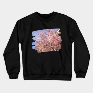 Photo flowers cherry blossom in DC dc statehood simple pink Crewneck Sweatshirt